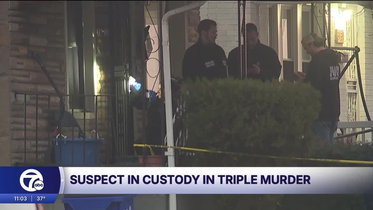 Source: Suspect in custody after 3 bodies found in Detroit basement