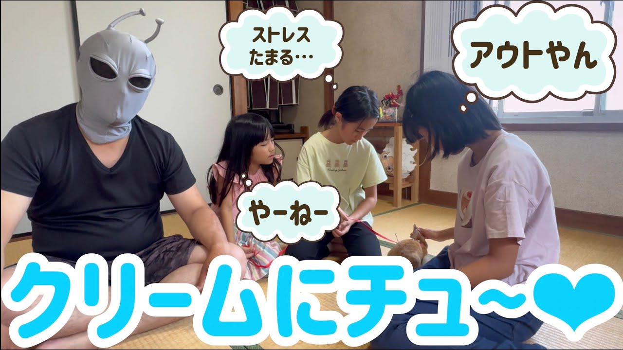 ベストハーネス装着❣️