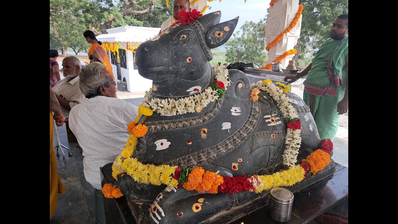శ్రీ బాలకోటేశ్వరస్వామి  యువజన సంఘం వెల్వడం గ్రామం మహాశివరాత్రి మహోత్సవాలు NRI. u.ఆధ్వర్యంలో