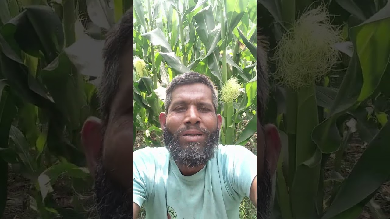 ৫ মার্চ, ২০২৬