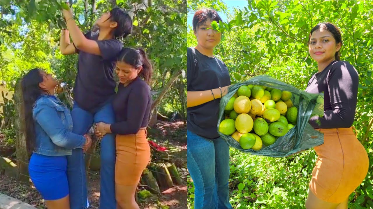 🔴😲Que gran montón de limones indios encontramos/CHICAS SALVADOREÑAS🇸🇻