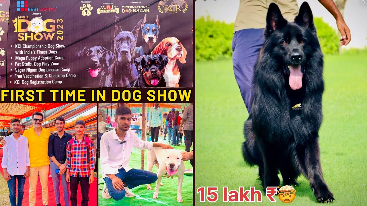 15 lakh₹ import German Shepherd in Jaipur Dog show🤯…!