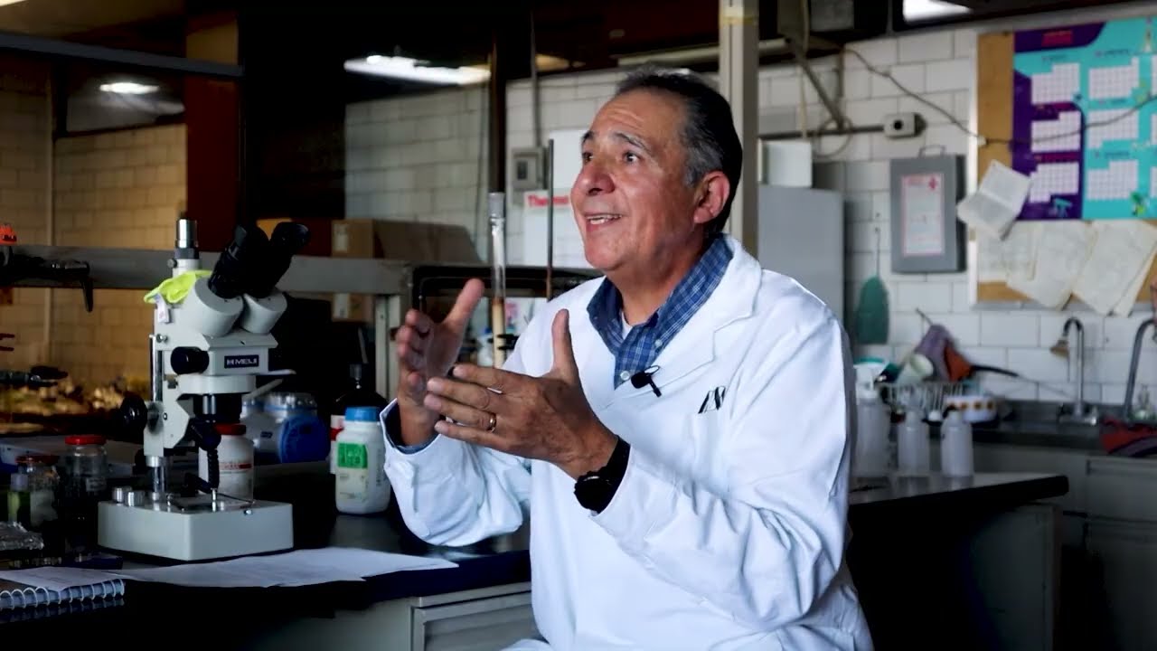 MOF: Los materiales que revolucionaron la química | Entrevista con investigadores de la UAM-I
