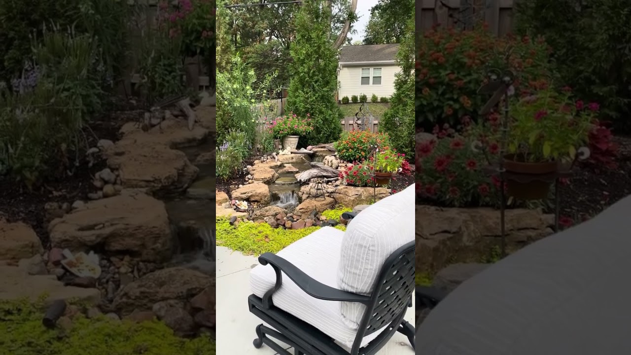 The most peaceful backyard on the block! 😌 #gardening #backyard