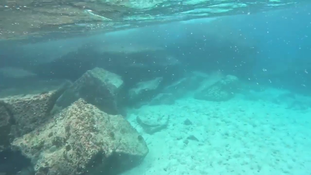 Swimming with Massive School of Razor Surgeonfish near Espanola Island, Galapagos