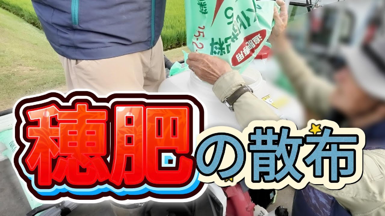【穂肥】総重量30kg動力散布機背負って歩く