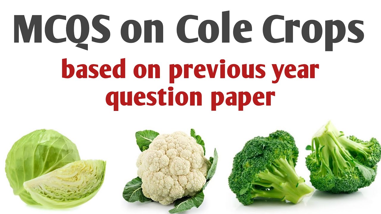 MCQS on Cole Crops।। JRF Horticulture ।। Cole crops
