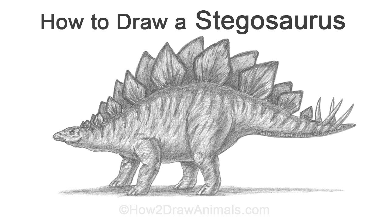 How to Draw a Stegosaurus