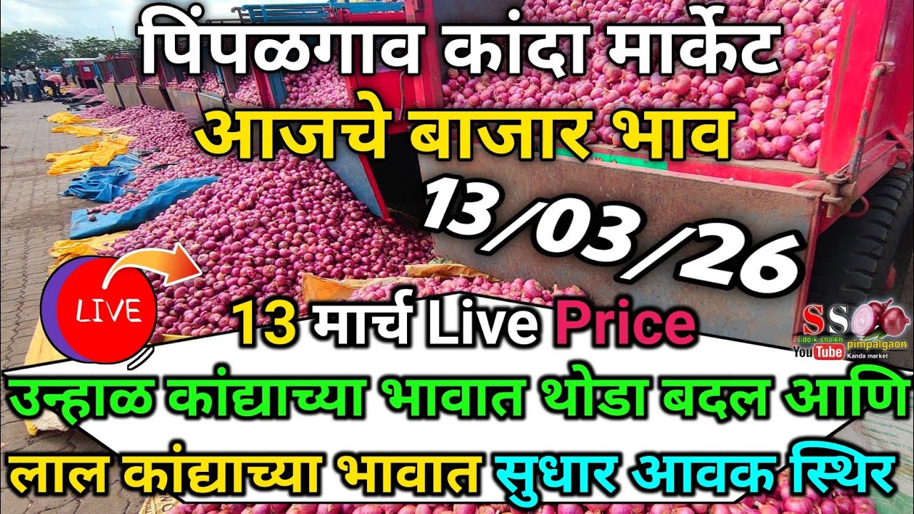 Pimpalgaon Onion Market Price Today:Latest Rates And Insights 13 march 2025