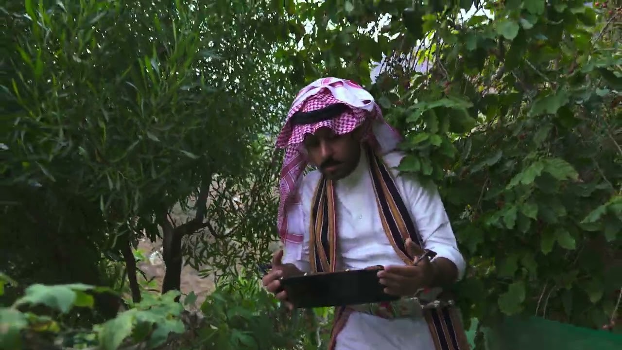عسير تهوّل