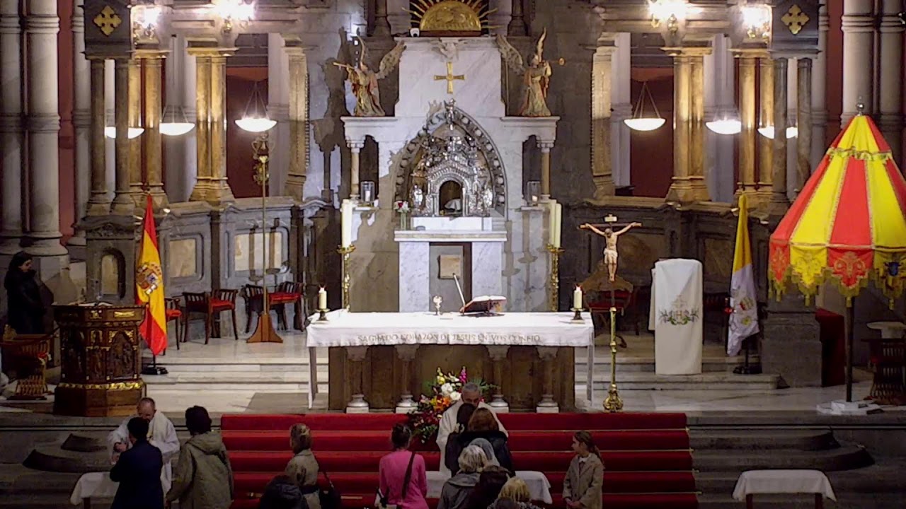 Santa Misa - Miércoles 11 de febrero de 2026