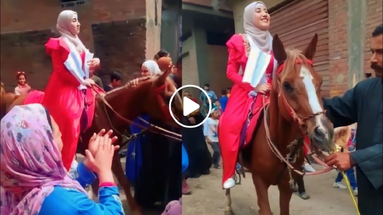 على ظهر حصان.. زفة بلدي لـ فتاة بـ كفر الشيخ.. العروسة الشريفة العفيفة بنت البنوت وصلت يا بلد