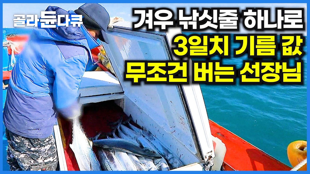 35년 차 베테랑은 잡을 줄도 먹을 줄도 안다. 대삼치 대방어 줄 하나로 줄줄이 잡는 어선ㅣ한국기행ㅣ#골라듄다큐