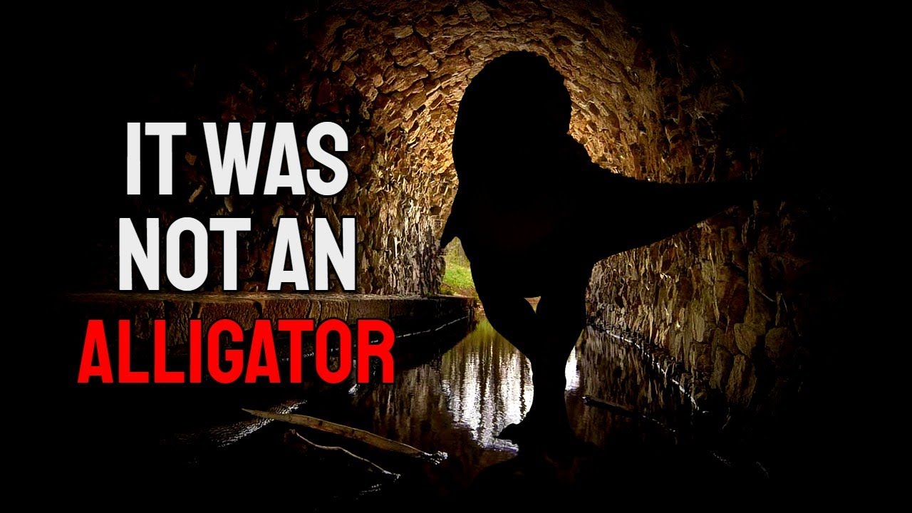 I Went Searching for an Alligator in the Sewer, What I Found Was Much Worse..
