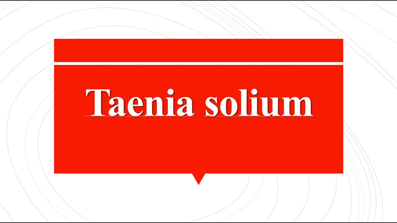 Taenia solium | Tape worm