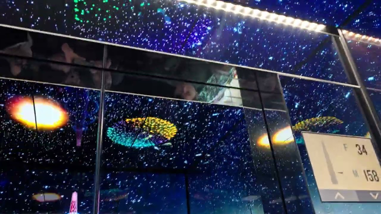 2026.01.06 서울특별시 송파구 신천동 롯데월드타워 스카이셔틀 하행