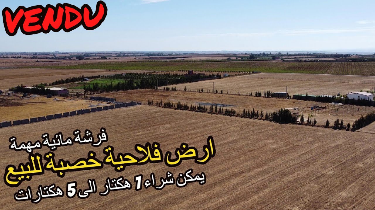 ✨ارض فلاحية منبسطة جميلة وتربة خصبة لاصحاب الاستثمار او الراغبين في هكتار واحد ✨ تيفلت