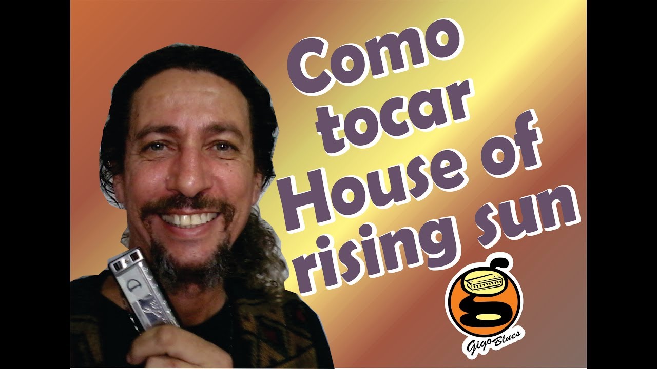 iniciante -  Como tocar the house of the rising sun| Harmônica - [ Gaita de boca]