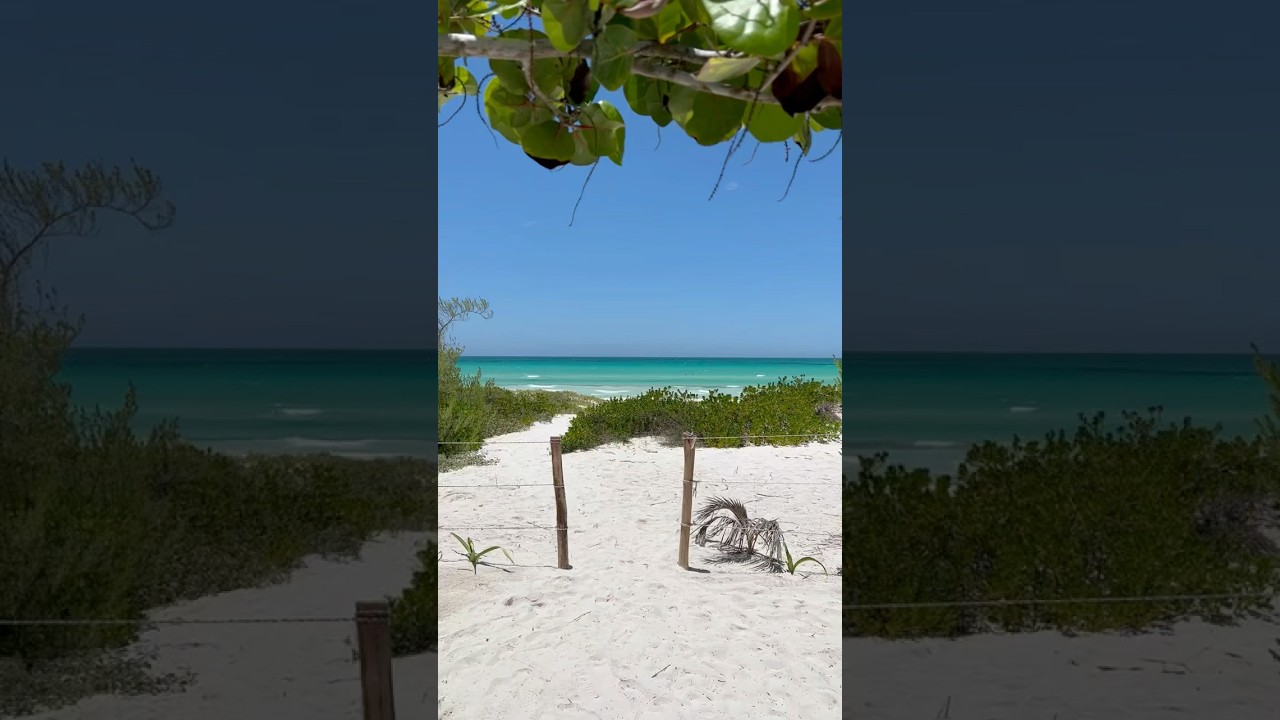 Cuál es la mejor playa de Yucatán?  😍