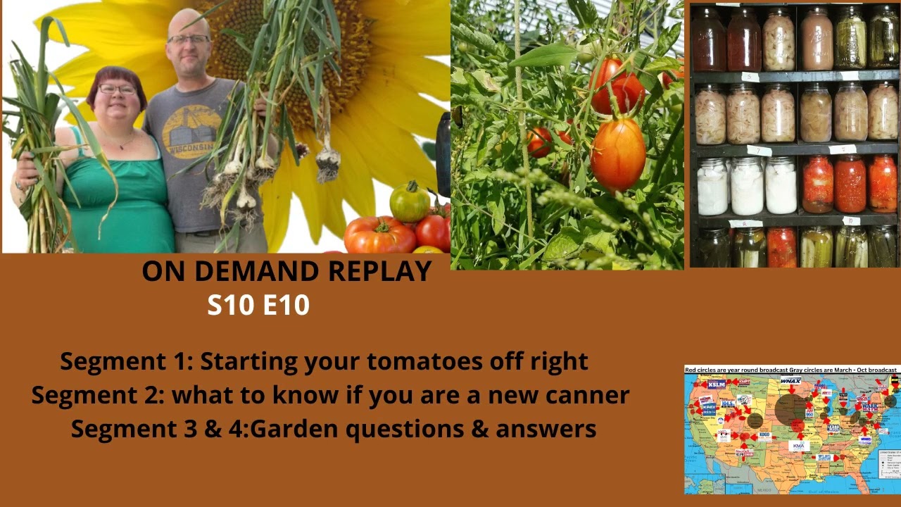 Audio S10E10 Starting your tomatoes off right, what to know if you are a new canner , Garden Q&A -