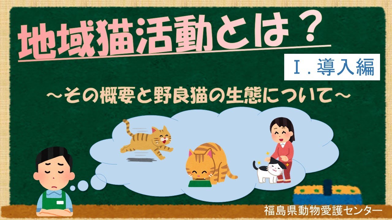 「地域猫活動」とは？【①導入編】～その概要と野良猫の生態について～　福島県動物愛護センター