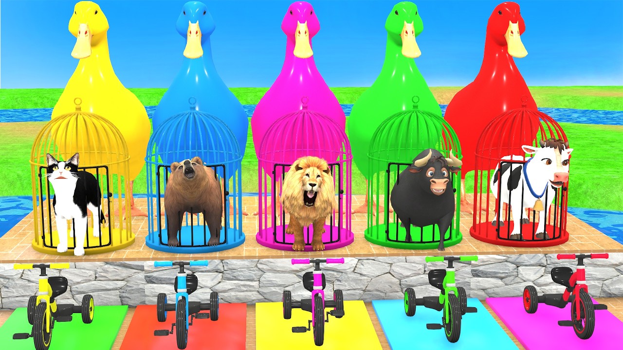 Long Slide Game With Cow Elephant Gorilla Hippopotamus Tiger 3d Animal Game Funny 3d Animals