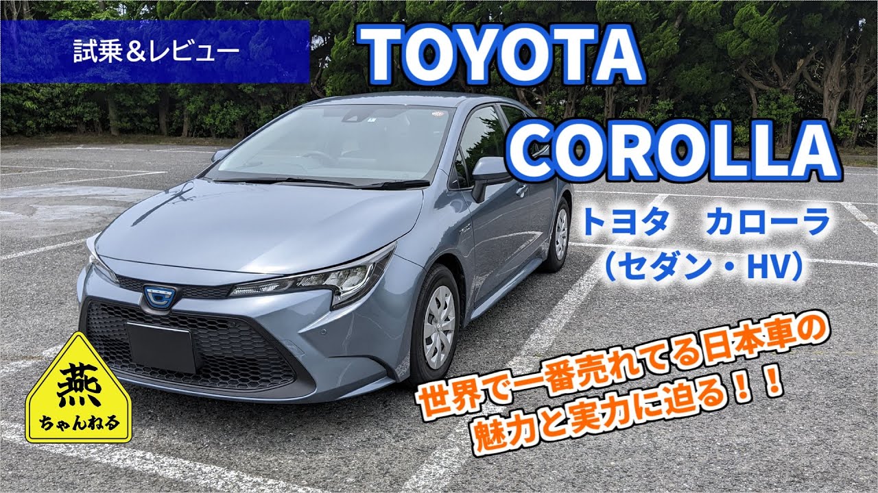【試乗＆レビュー】トヨタ　カローラ（セダン・ハイブリッド）　TOYOTA　COROLLA　世界累計販売台数5000万台を記録した世界に誇れる日本車！その魅力や実力に迫ります！