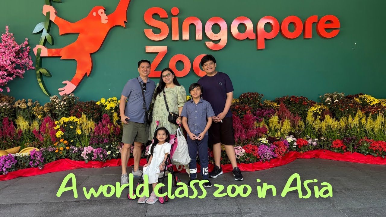 Singapore Zoo | Family Travel Zoo In Singapore 