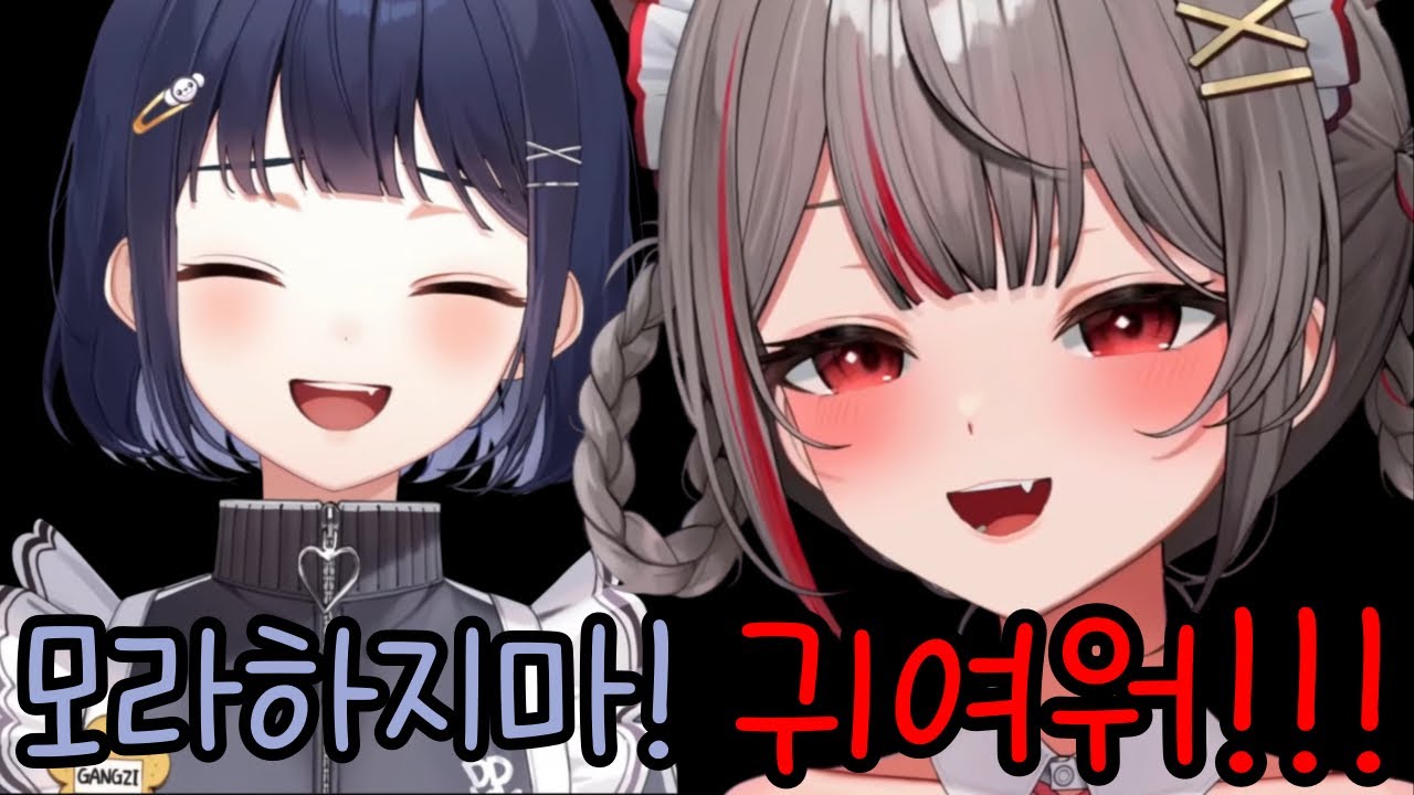 강지 애교가 너무 귀여워서 여러 번 돌려보는 시로 (w. 부키)