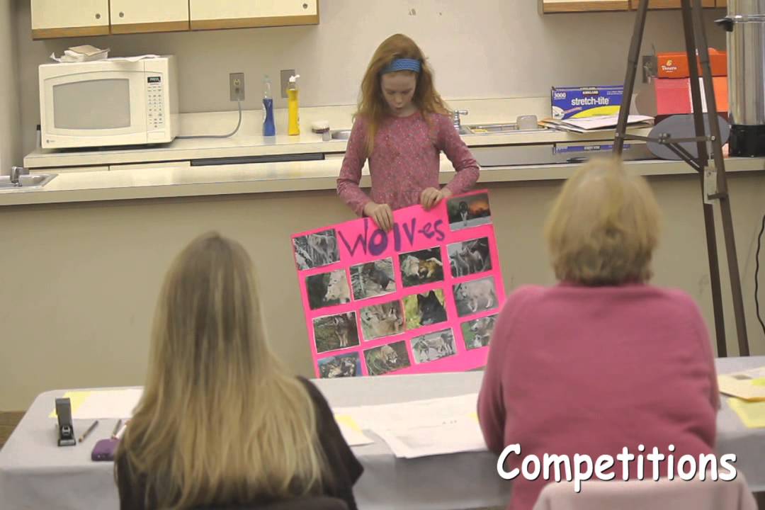 What is 4-H?