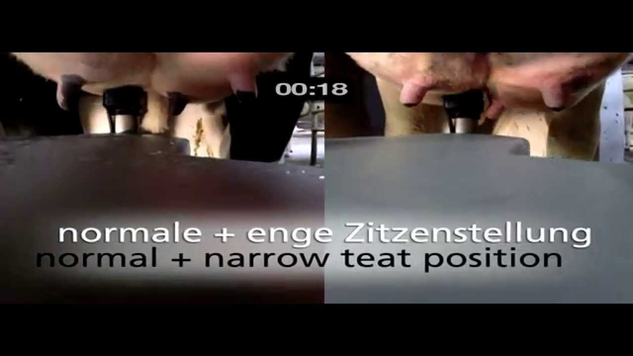 GEA Farming - MIone mit neuem MilkRack - DE