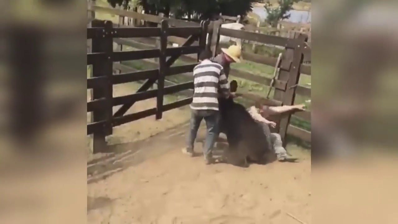 VIDEOS DE RISA / FAILS /CAIDAS GRACIOSAS /CABALLOS Y TOROS