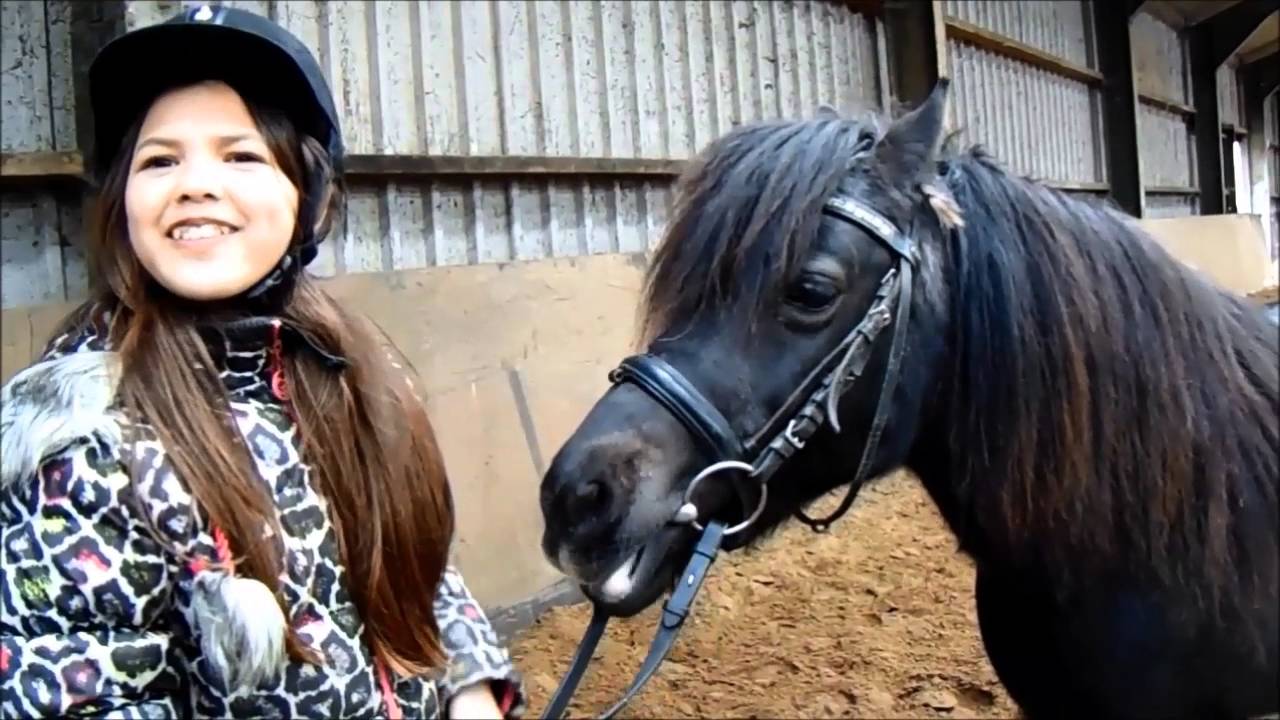 Paardenserie Rozet ~ afl 2 ~ Overal