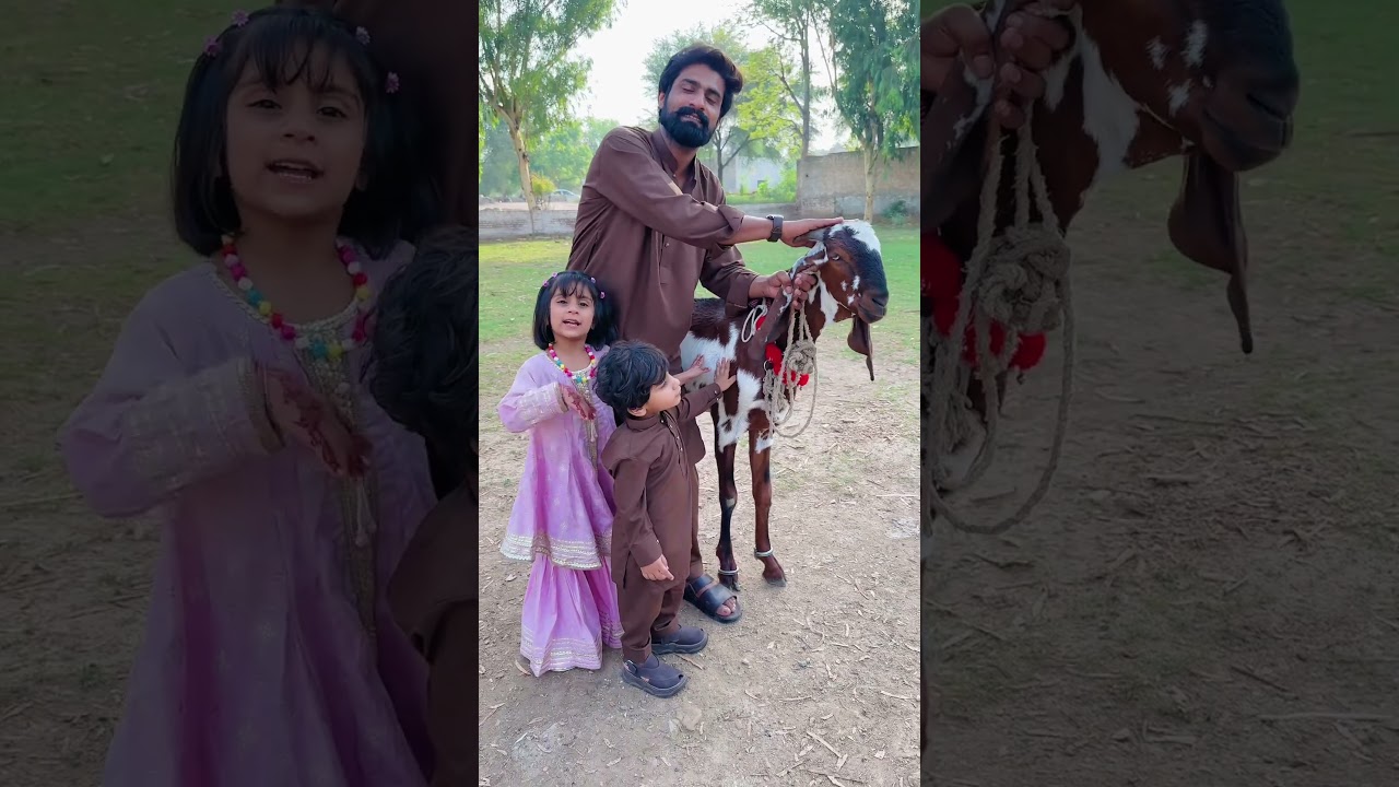 Dua ki tarf say sab ko eid mubarak ❤️🫂#youtubeshorts #shortsfeed #eid #shorts #short #viralvideo