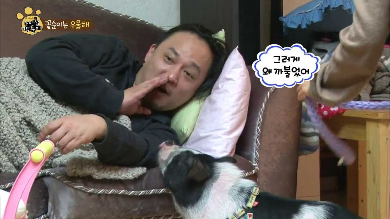 [HOT] 우리집 막둥이 - 뾱뾱이(?)에 빠진 신해철 가족의 미니피그 꽃순이 20131227