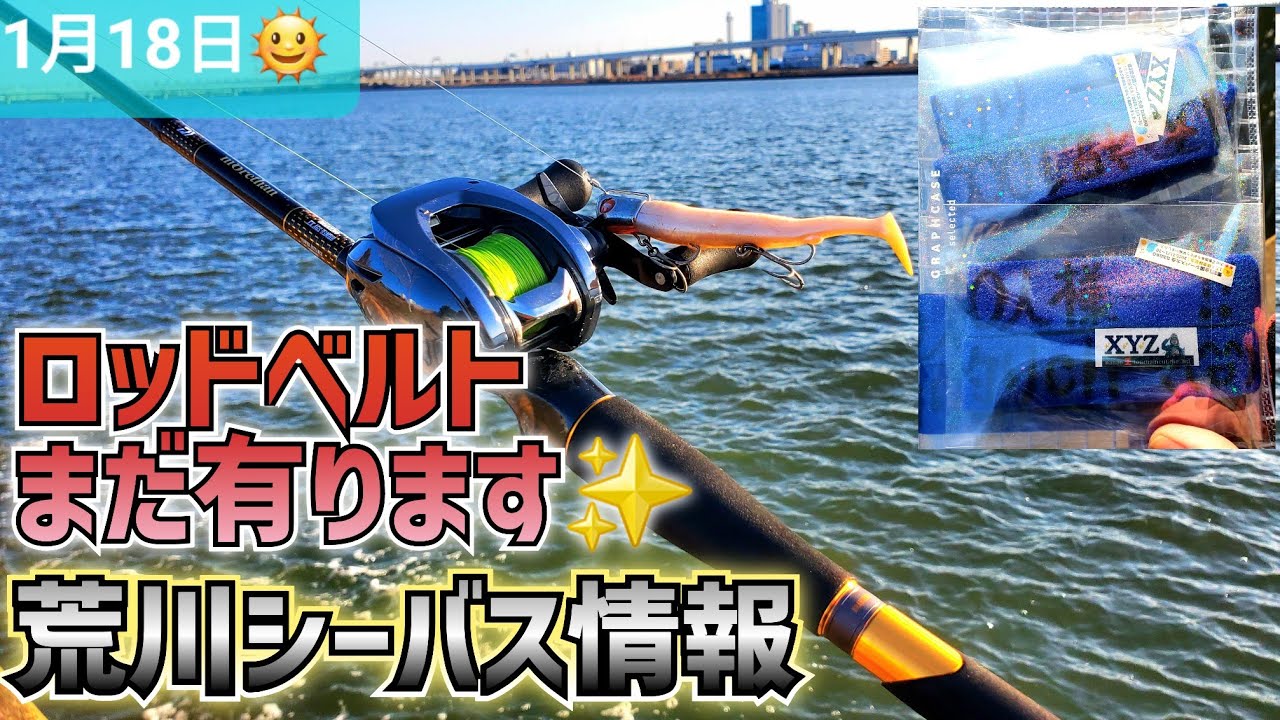【プレゼント】のロッドベルトまだ有ります！荒川シーバス情報！