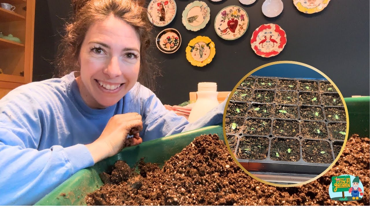 How I Transplant My Lisianthus Seedlings! Zone 5B/6A. Chicago Suburban Cut Flower Gardener!