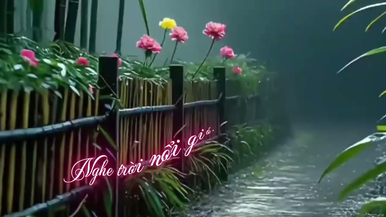 Cỏ ven đường | Hồi ức nhạc xưa