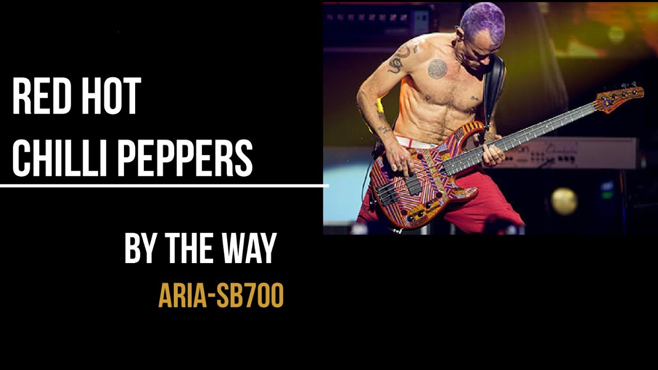 Red hot chilli peppers - By the way (Bass cover)