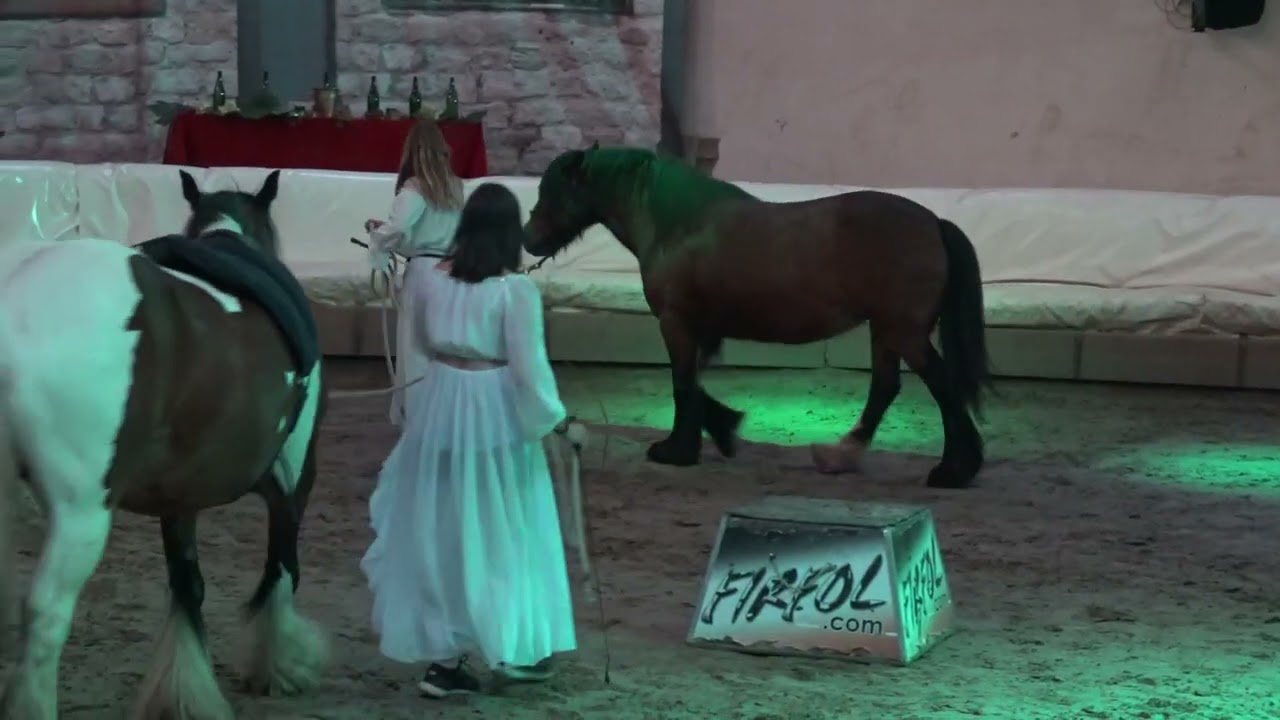 2022 FIRFOL SPORT ETUDES   Spectacle de fin d'année, Intro : Le kidnapping et Athéna