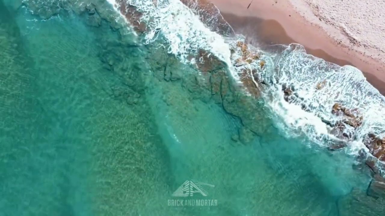 Protecting Florida&rsquo;s coastline @bam_miami