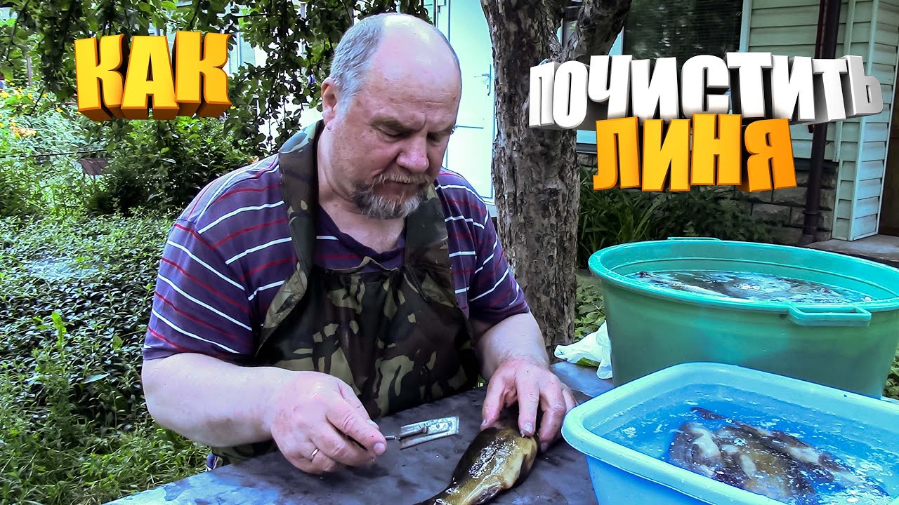 КАК ПОЧИСТИТЬ ЛИНЯ ?! ( ответ зрителям )