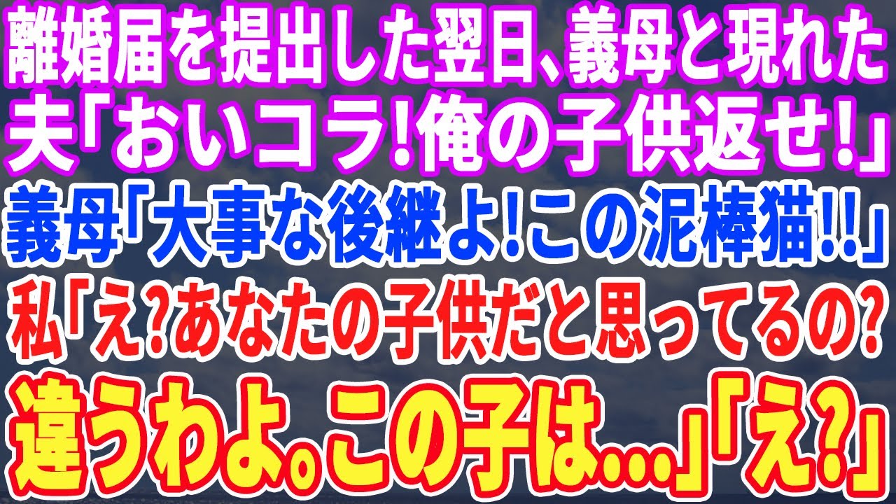 【スカッとする話】夫と離婚した翌日、義母と現れた夫「おい俺の子供返せよｗ」義母「大事な後継を連れ去るな！」私「え、あなたとの子供なんて産んだ事ありませんけど？」「え？」