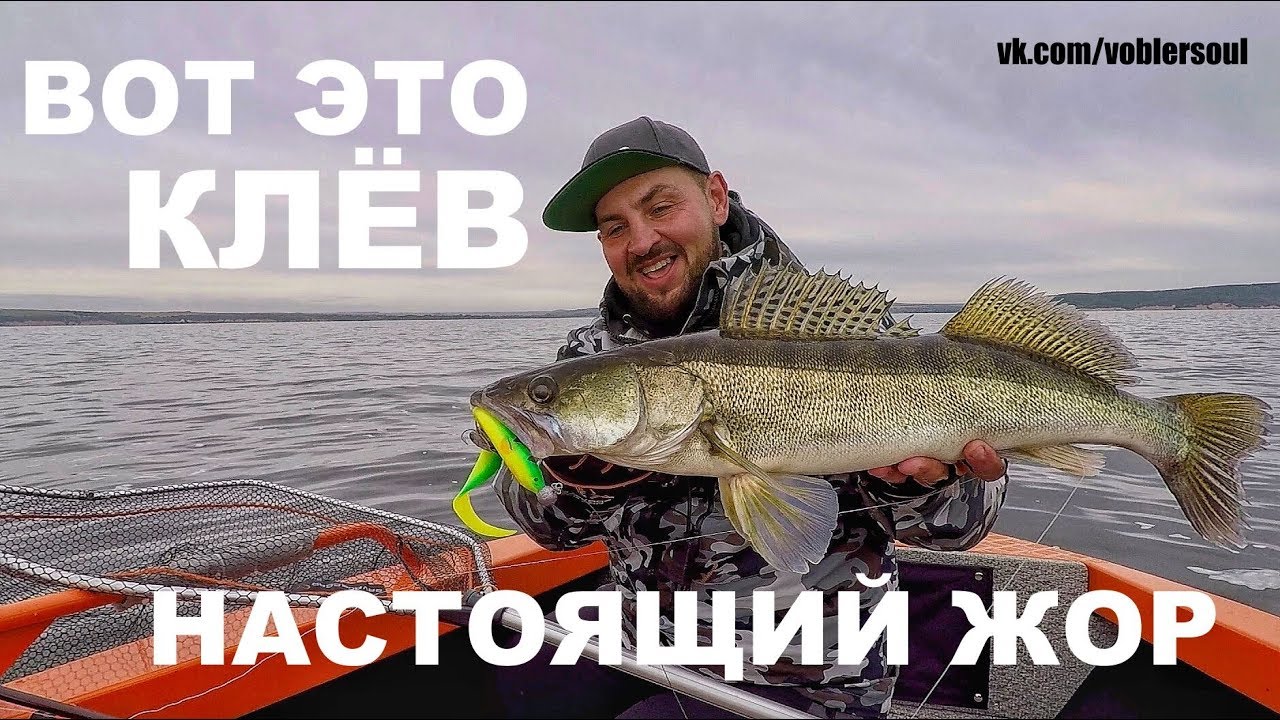 ОСЕННИЙ ЖОР! Ловля Щуки и Судака на ДЖИГ. Крупный силикон для ТРОФЕЙНОЙ РЫБЫ. 2019. Спиннинг.