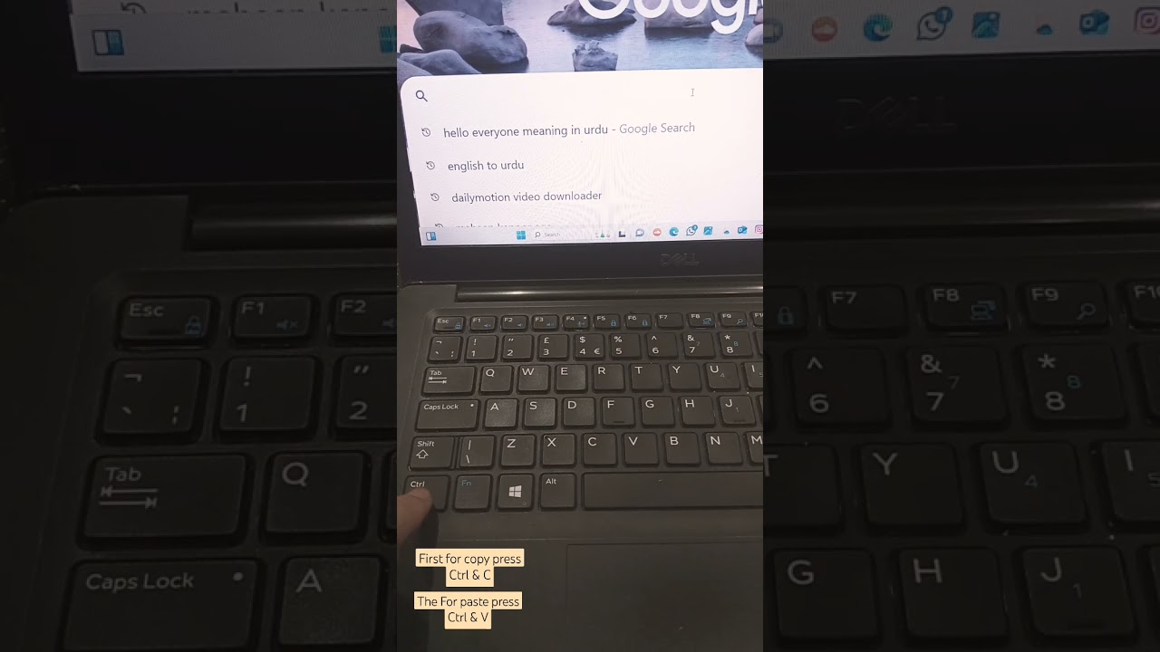 How to copy on HP laptop 💻