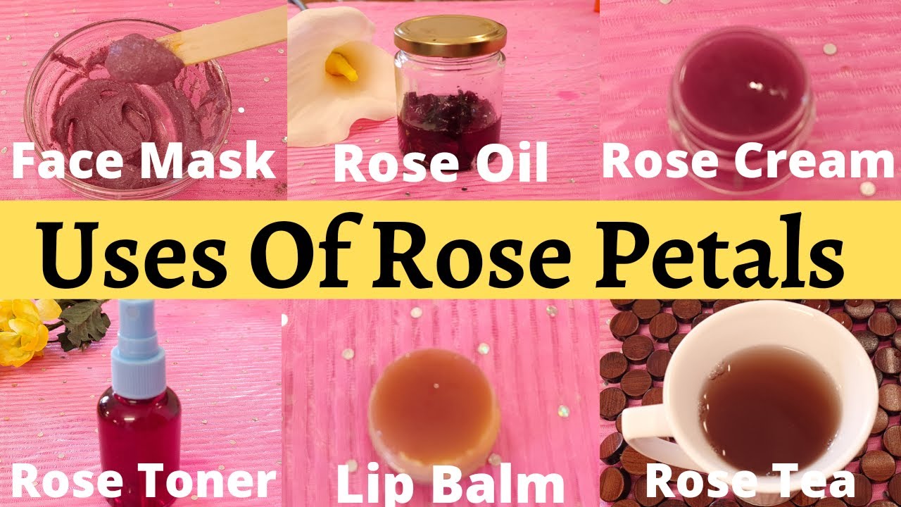 Uses & benefits Of Rose Petals|DIY ROSE OIL,ROSE CREAM,ROSE FACE MASK,ROSE TEA,ROSE LIP BALM,TONER