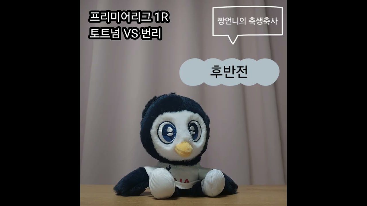 2526 프리미어리그1R 토트넘 VS 번리(후반전) 토트넘 편파응원