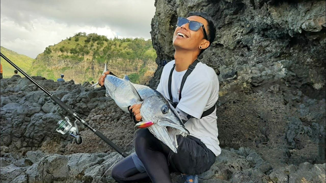 ikan monster barracuda on rock shore fishing bali island