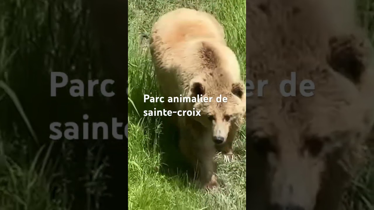 La vid&eacute;o est sur ma cha&icirc;ne YouTube Najat Ziania