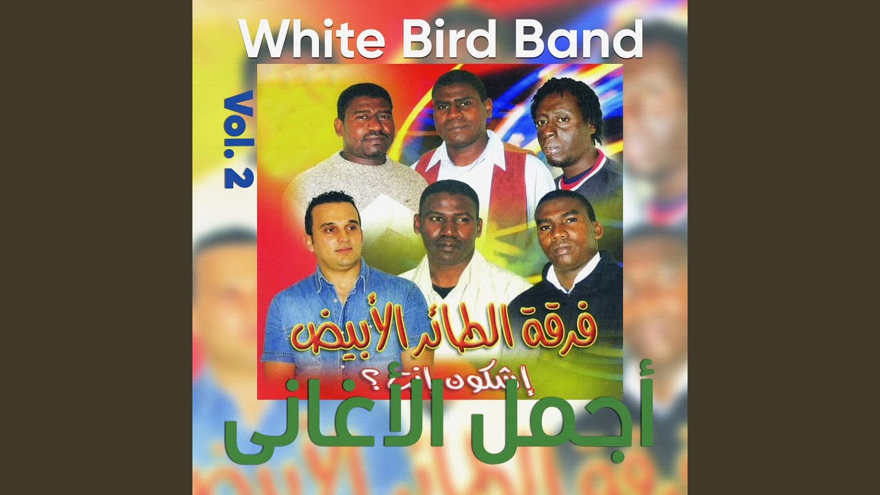 Wain elli kan